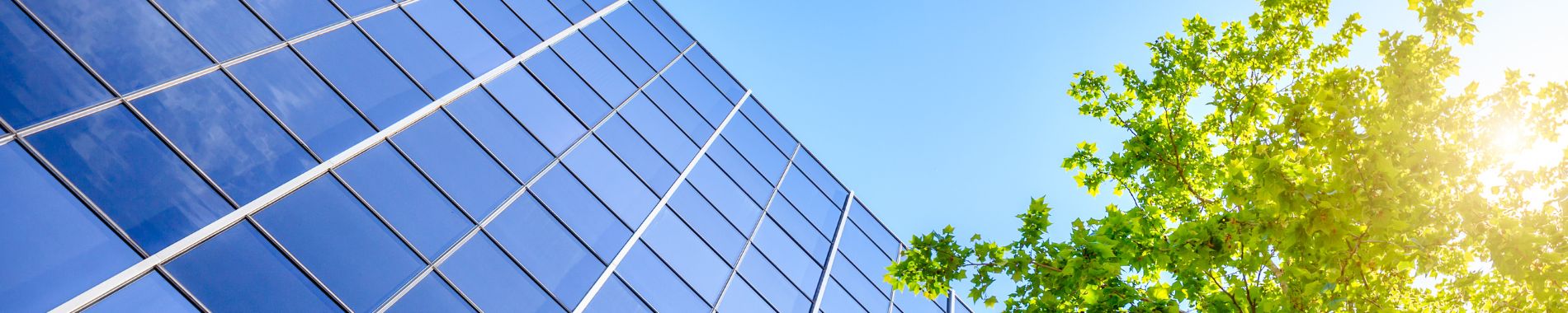 Selecting the Right Smart Building Software Provider for Your Property