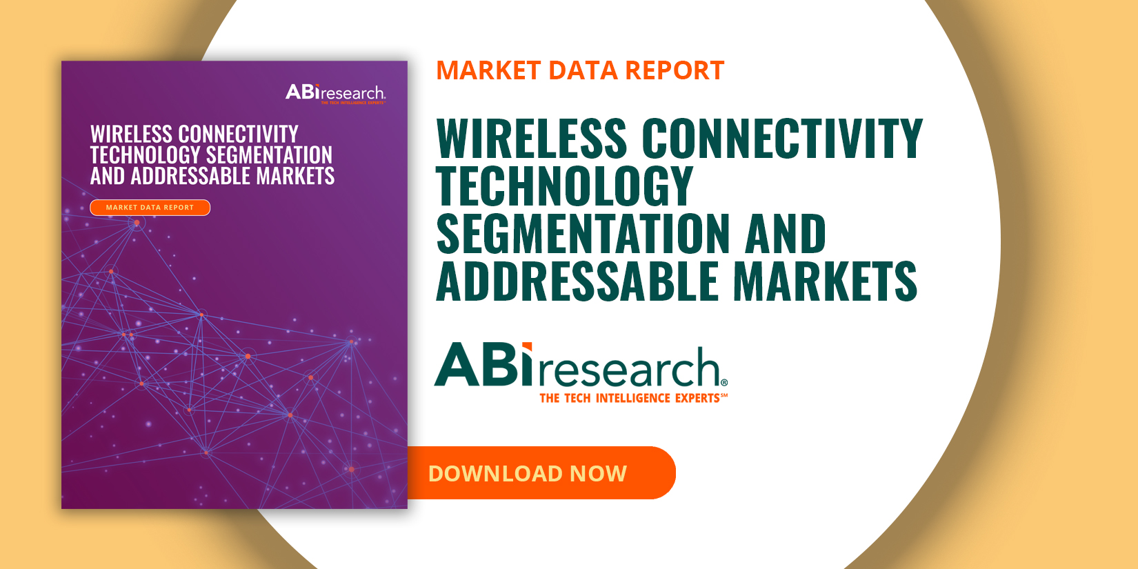 Wireless Connectivity Technology Segmentation and Addressable Markets