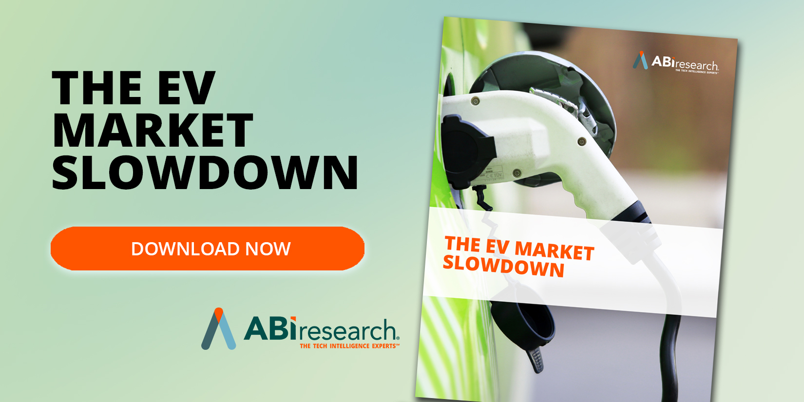 The EV Market Slowdown (AN-6131)